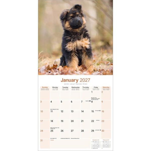 German Shepherd Puppies Calendar 2027, Wall Calendars, Month To View, Dogs, Gift