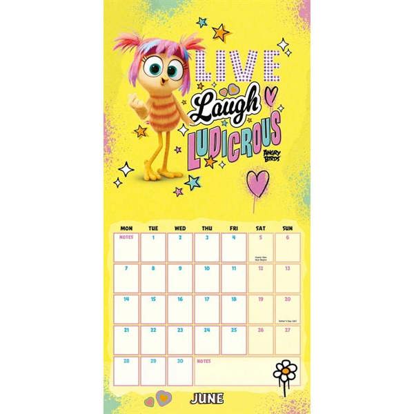Angry Birds 3 Calendar 2027, Wall Calendars, Month To View, Entertainment, Gift