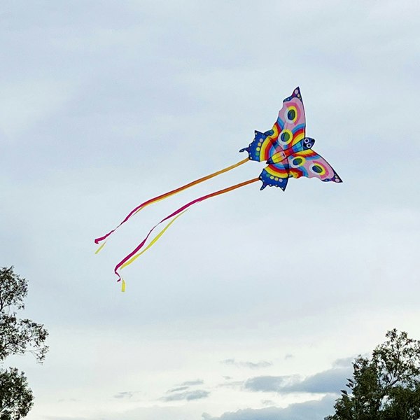 Tiger Tribe Butterfly Kite