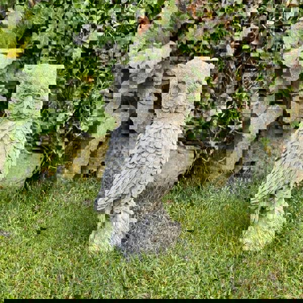 Cute Stone Owl garden ornament