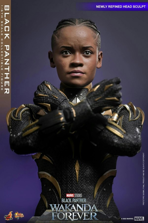 Hot Toys Black Panther Action Figure Black Panther: Wakanda Forever 1:6 Scale Hot Toys 911962