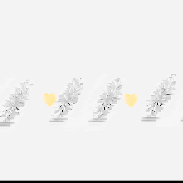 Rosa Lea Daisy Heart Stud Earrings AM-2THB028107 RG