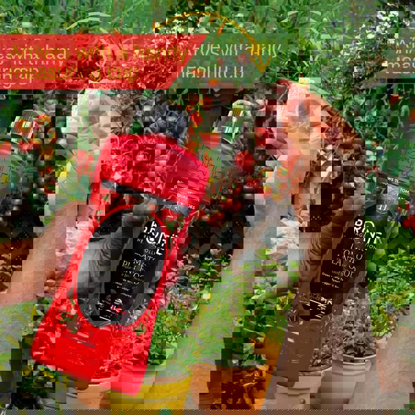 Bronte Heritage Tomato Plant Food 1L – Concentrated liquid feed for indoor & outdoor plants. Boosts growth, yields & resistance. Makes 300L.