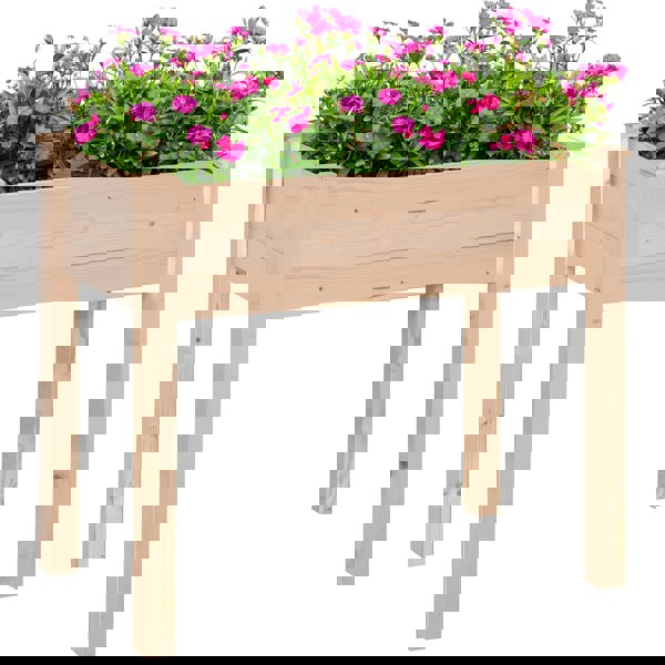 Raised Planter
