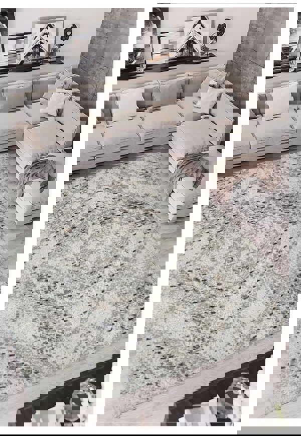 Vintage Design Living Room Rug in Grey | 3D Effect |The Rugs