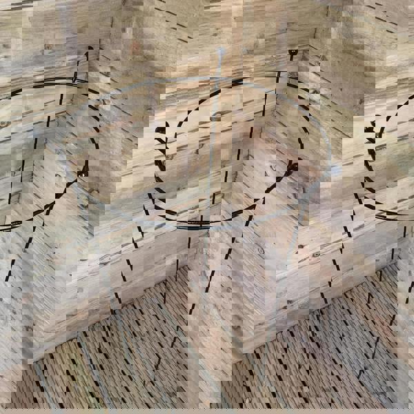 Samuel Alexander 2 Pack of Tom Chambers Cottage Heavy Duty Black Metal Steel Herbaceous Garden Plant Support Ring Large 80cm x 45cm