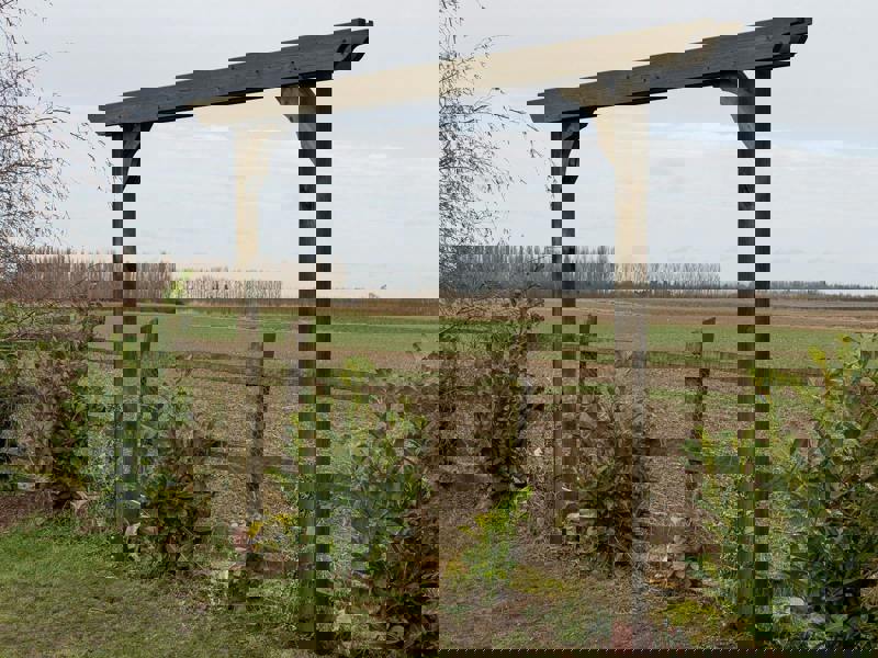 Arbor Garden Solutions Screen Double Beam Pergola, Plant Climbing Arbour - Sculpted Brace