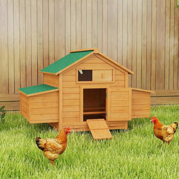 Chicken Coop