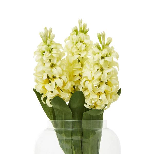 Wyld Haus Set of 3 Artificial Flowers Yellow Hyacinth Stems