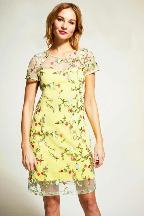 HotSquash Embroidered Cap Sleeve Party Dress