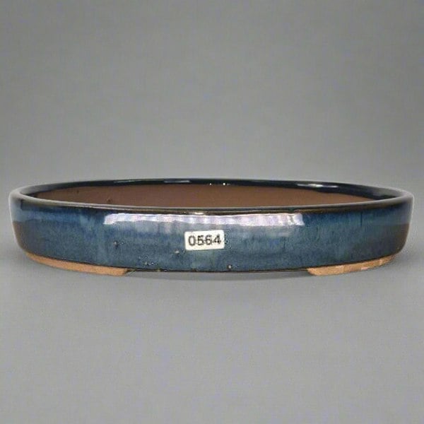 26cm Glazed Bonsai Pot | Oval | 26cm x 19cm x 4cm | Blue - Yorkshire Bonsai