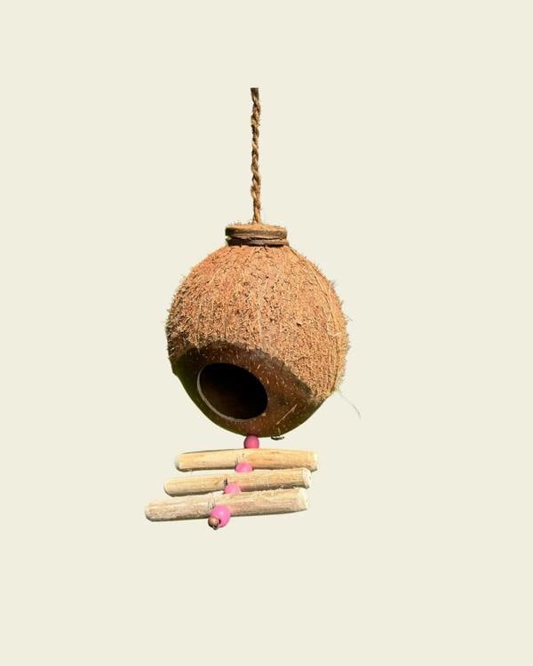 CoirProducts Shell Bird Nest