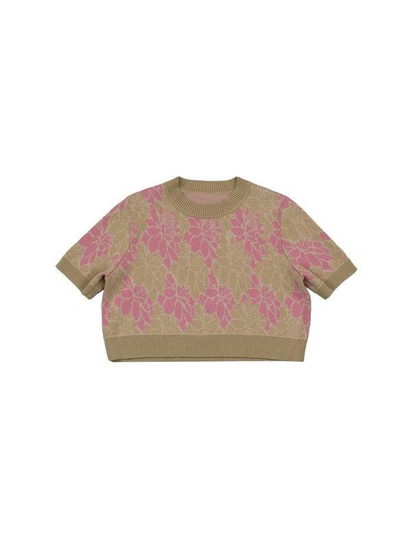 BALOU Floral Knit Crop Top