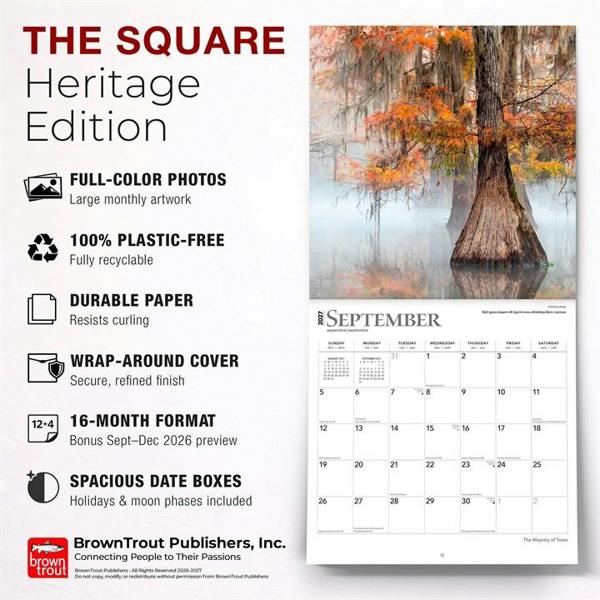 The Majesty of Trees Calendar 2027, Wall Calendars, Month To View, Natural World, Gift
