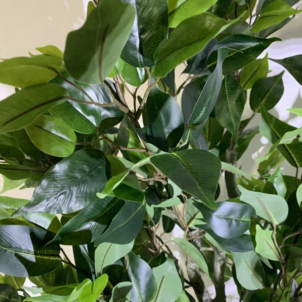 Leaf 100cm Premium Artificial Ficus Twist Tree