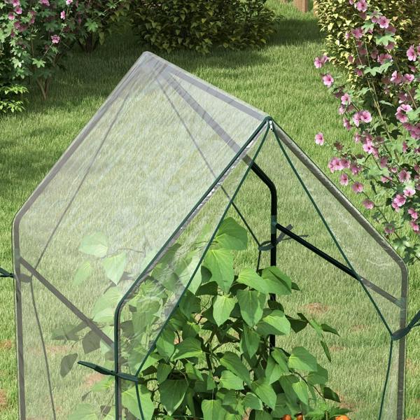 Clear mini greenhouse in backyard garden with leafy plants behind cover