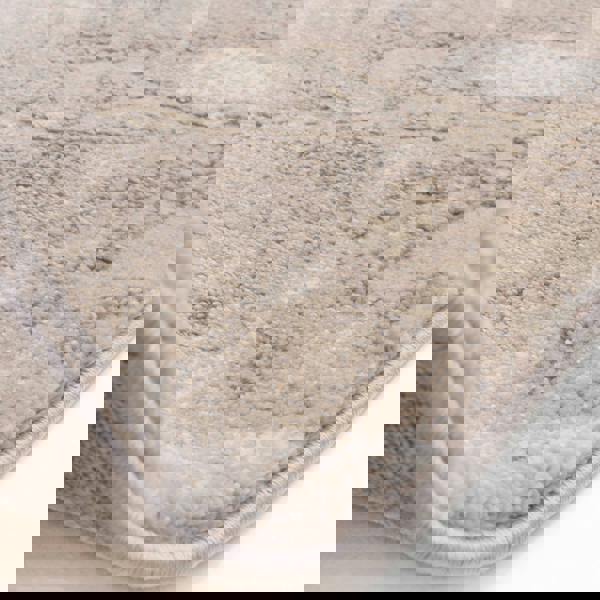 Asiatic Mirage Haze Biege Rug