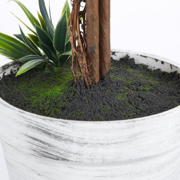 Artificial ball tree stem in white textured pot with dark faux moss filling