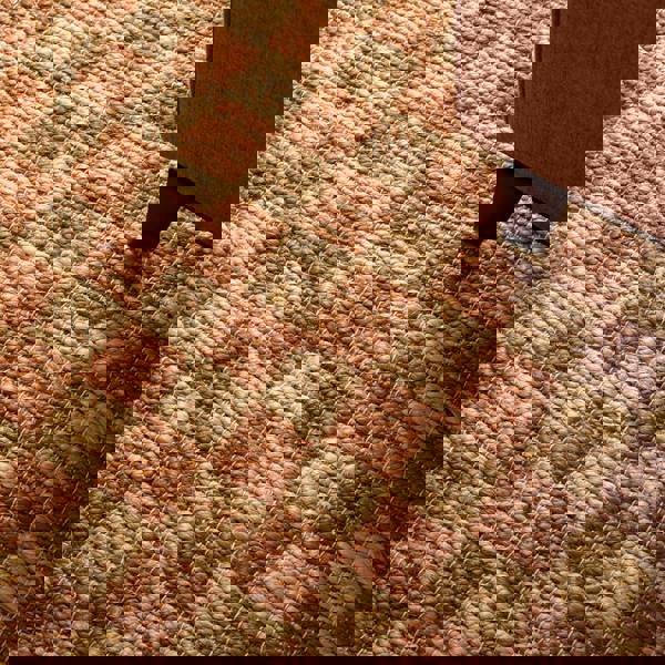 Asiatic Naturi Rust Jute Rug