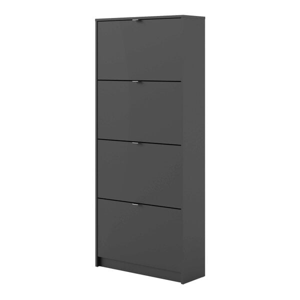 Wyld Haus Prague Black Shoe Cabinet 4 Flip Down Doors