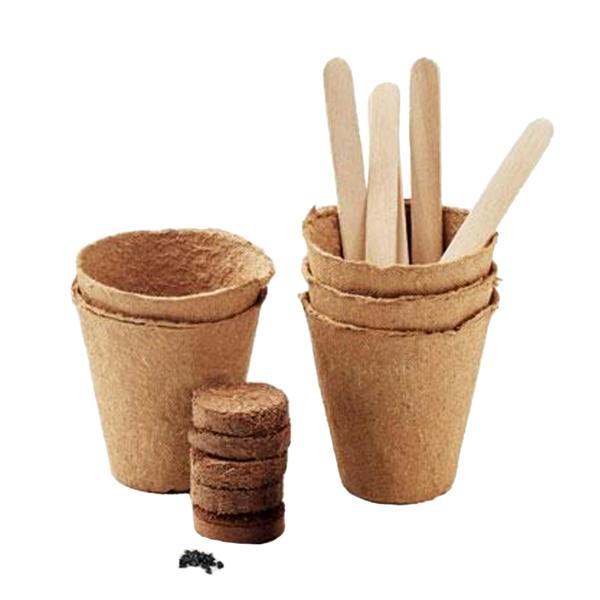 MidOcean Flowers Flower Seeds - Beige - 