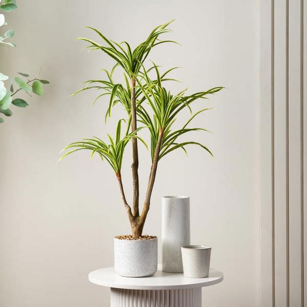 Scottish Everlastings 90cm Real Touch Yucca in White Speckled Plastic Pot