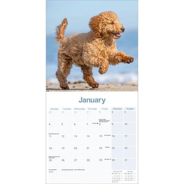 Poodle Calendar 2027, Wall Calendars, Month To View, Dogs, Gift