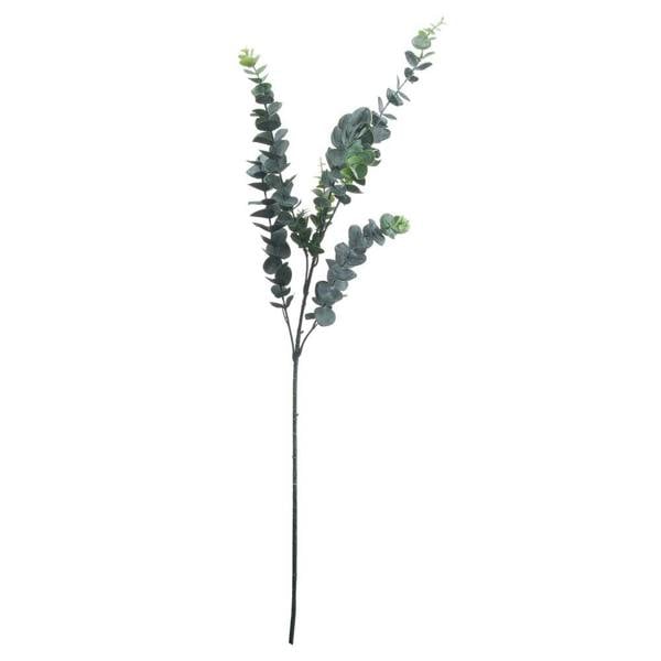 Hill Interiors Artificial Tall Single Stem Silver Dollar Eucalyptus - Green - 