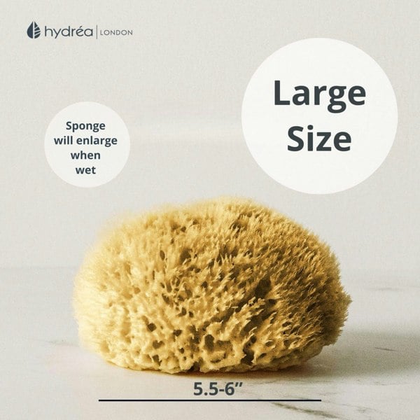 Hydréa London Natural Honeycomb Sea Sponge - size 5.5-6"