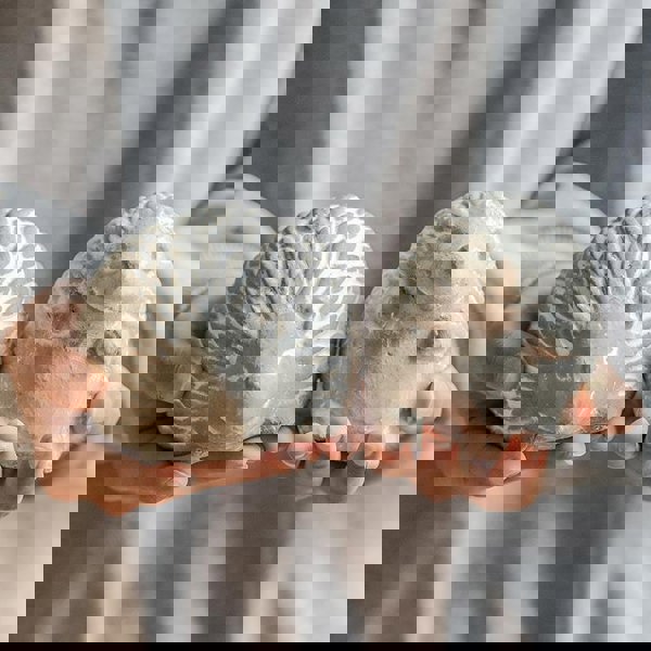 AN21 Garden Decoration, A Set Of Six Animal Statues-Weilai Concept-Weilai Concept