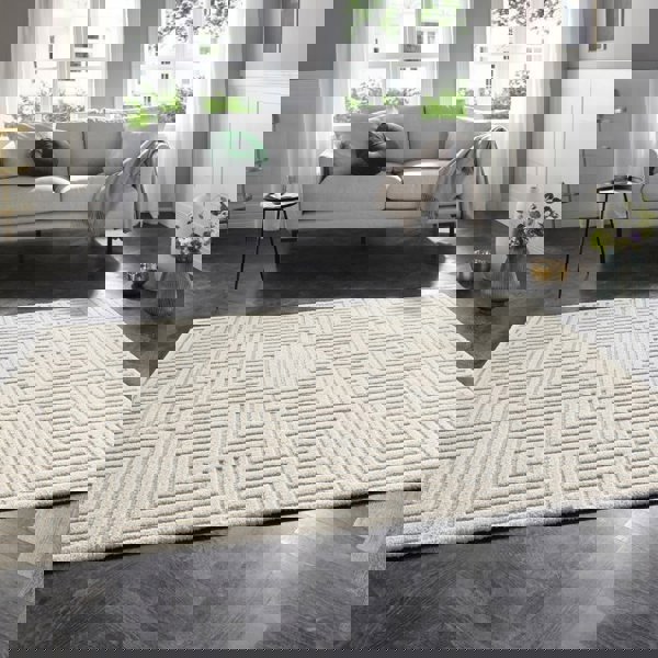 Soft Pile Rug with High-Low Texture