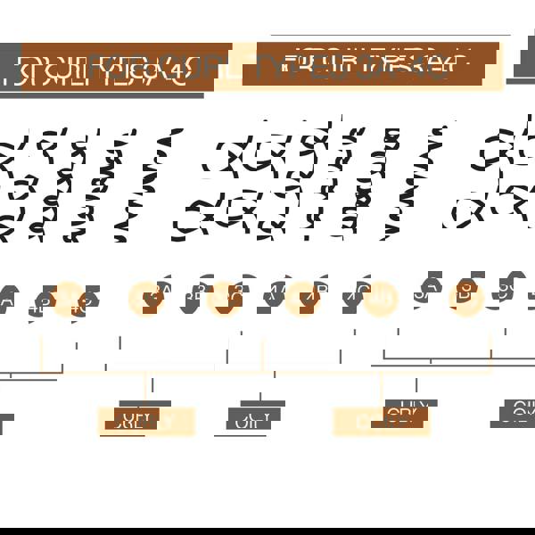 Redken All Soft Mega Curl Shampoo Conditioner Duo