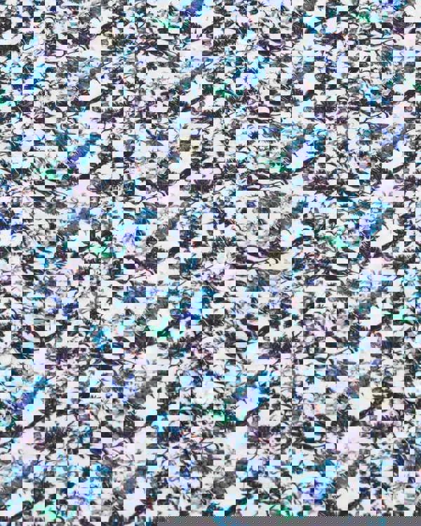 Steel & Jelly Limited Edition Blue Floral Print Long Sleeve Shirt