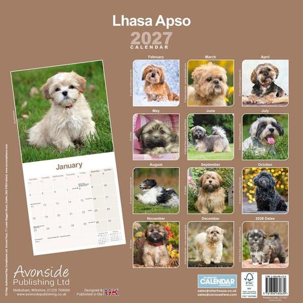 Lhasa Apso Calendar 2027, Wall Calendars, Month To View, Dogs, Gift