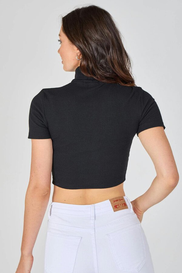 Ribbed Roll Neck Short Sleeve Crop Top