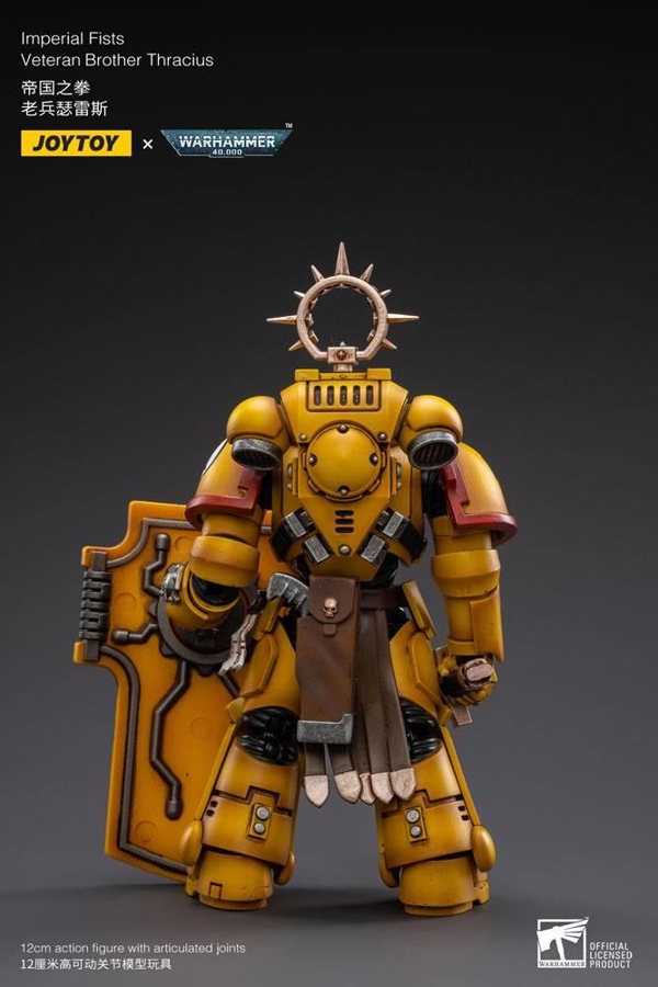 Joy Toys Warhammer 40K Imperial Fists Veteran Brother Thracius 1:18 Scale Joy Toy JT3013