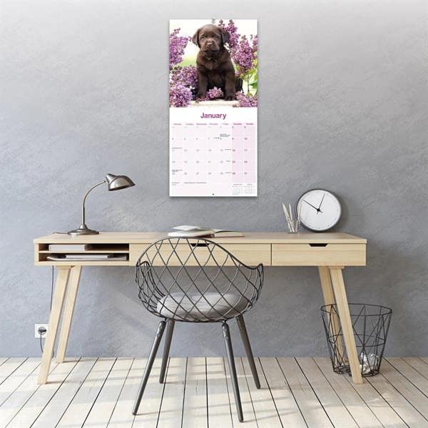 Chocolate Labrador Retriever Calendar 2027, Wall Calendars, Month To View, Dogs, Gift