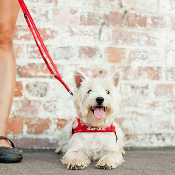 EzyDog Vario 4 Multi-Function Dog Lead in Red
