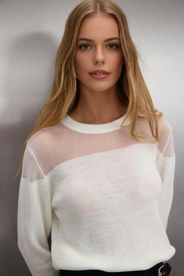 WOVCOR Glittery Knit Sweater with Transparent Details