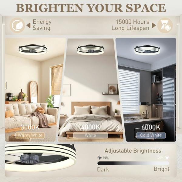 Ceiling Fan With Light