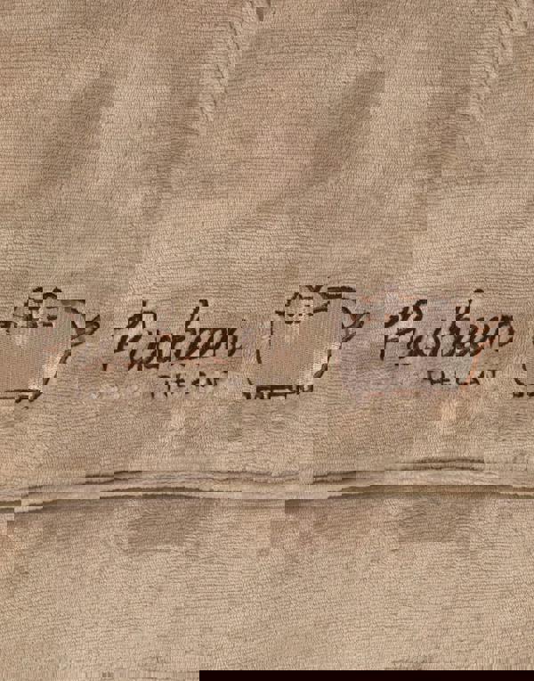 Pusheen Womens Brown Character Face Blanket Hoodie (One Size)