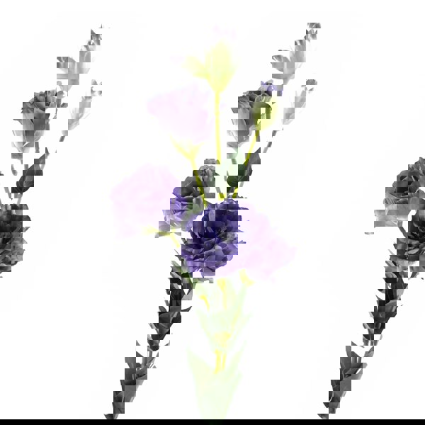 Leaf Pack of 6 x 80cm Artificial Purple Wild Rose Stem - 36 Flowers