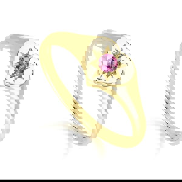 135R2055019 ECFEW™ 'The Liberator' Rhodolite Heart Ring in 9ct Yellow Gold Side