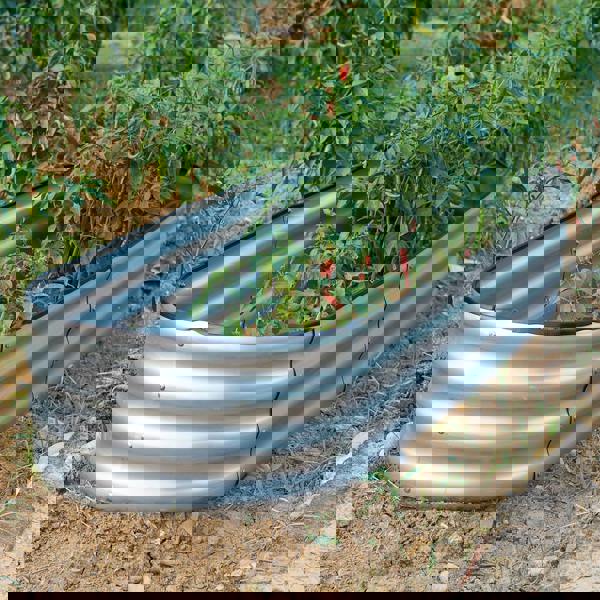 Gr8 Garden Garden Outdoor Raised Bed Planter Oval Galvanised Steel Trough Box 182x61x30cm