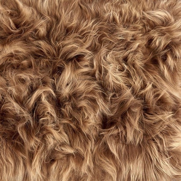 Hide Rugs Icelandic Sheepskin Rug Rusty 3 Skin