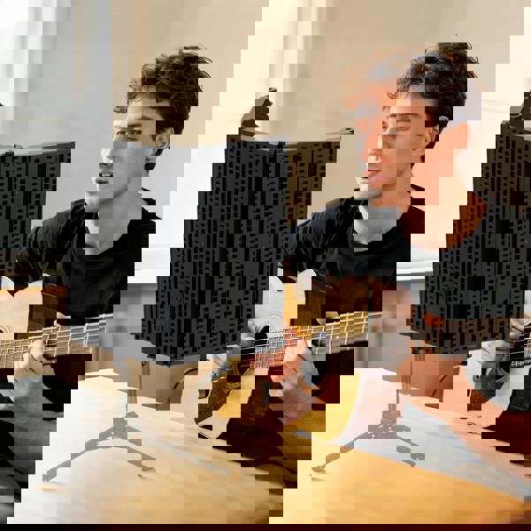 Microphone Isolation Shield