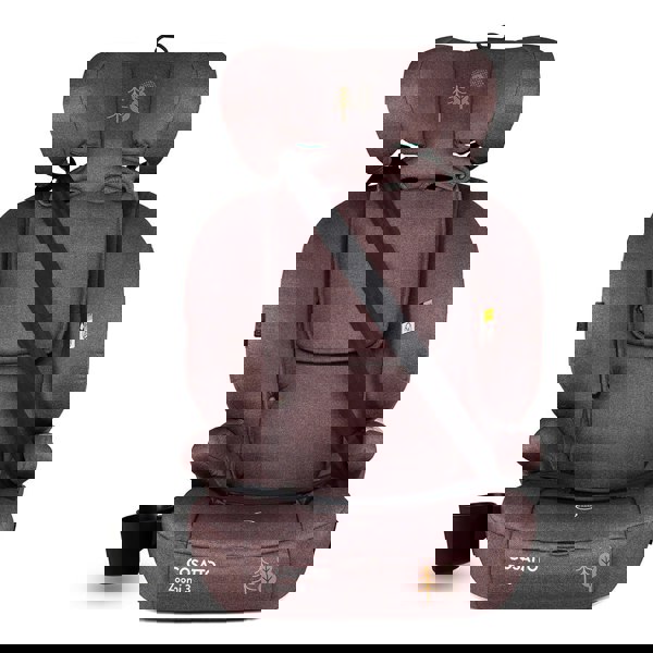 Cosatto Zoomi 3 i-Size Car Seat Bear Hug