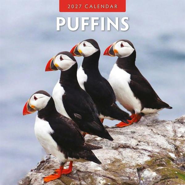 Puffins Calendar 2027, Wall Calendars, Month To View, Animals, Gift
