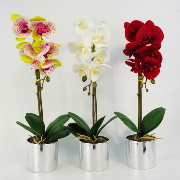 Leaf 46cm Artificial Orchid Harlequin Pink with Silver Pot