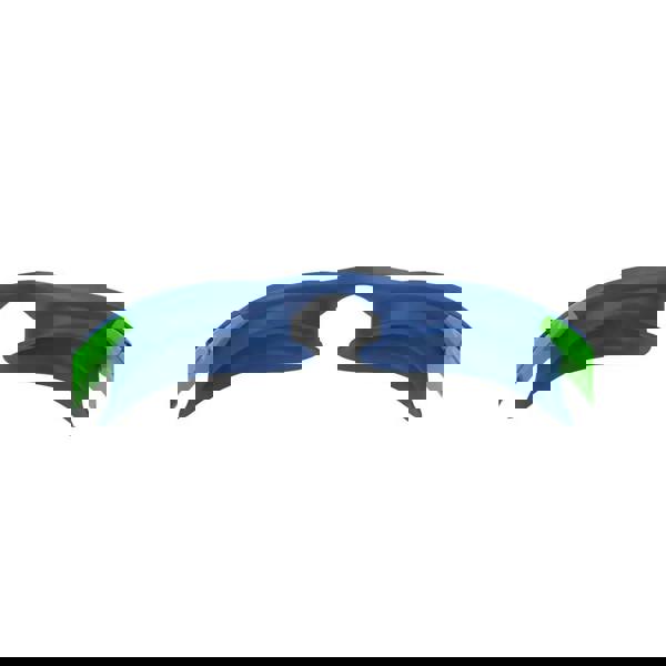 Speedo Hydrosity 2.0 junior swim goggles in blue and green with silicone straps